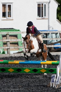 Class 3 -  Fences not above 2'3